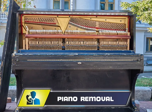 Piano Removal Services
