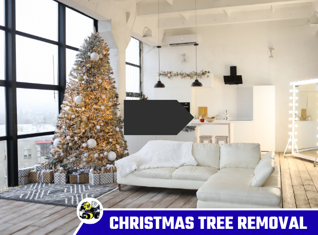 fast christmas tree removal in hollister