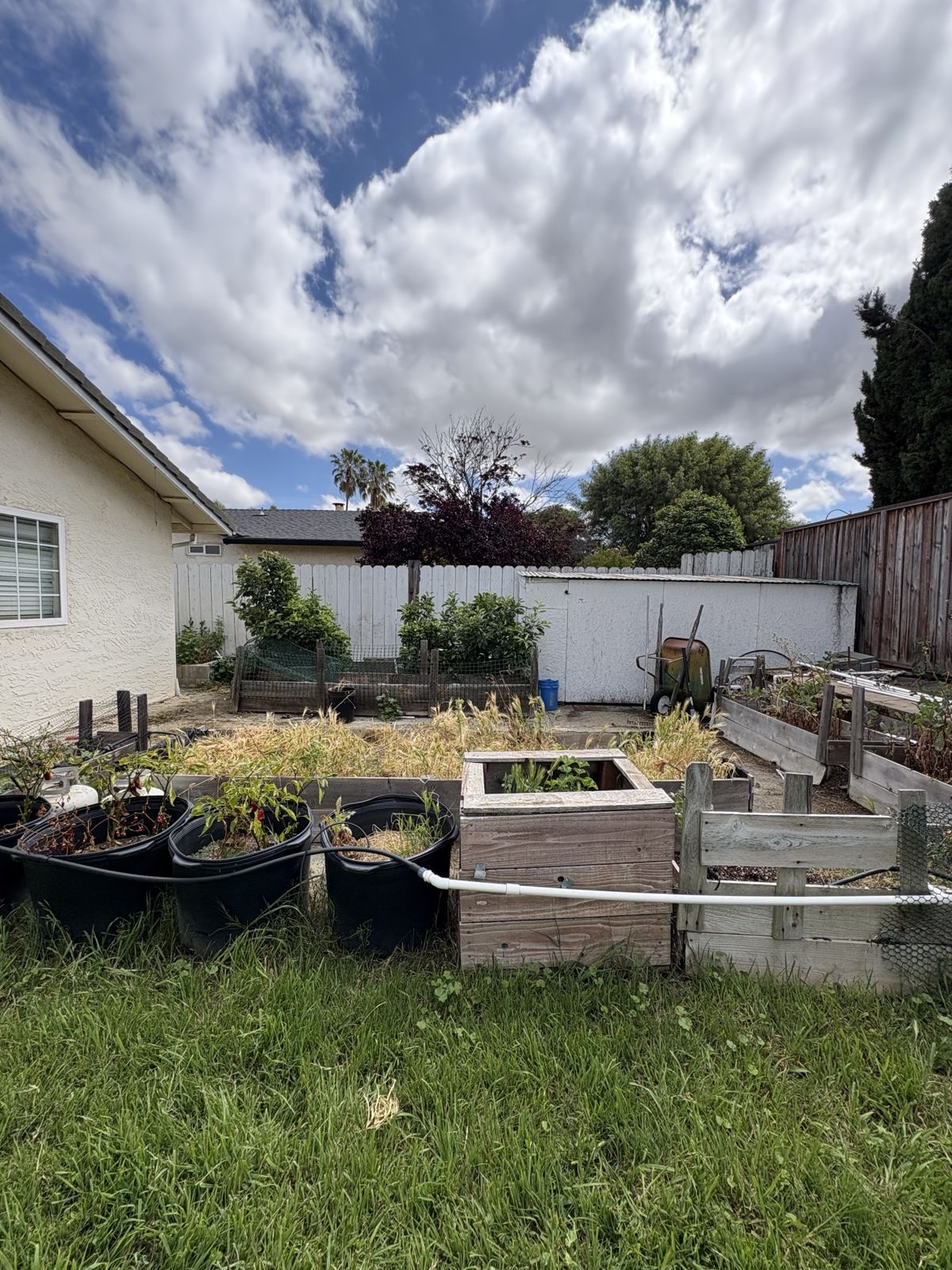 Same backyard cleared after the cleanout