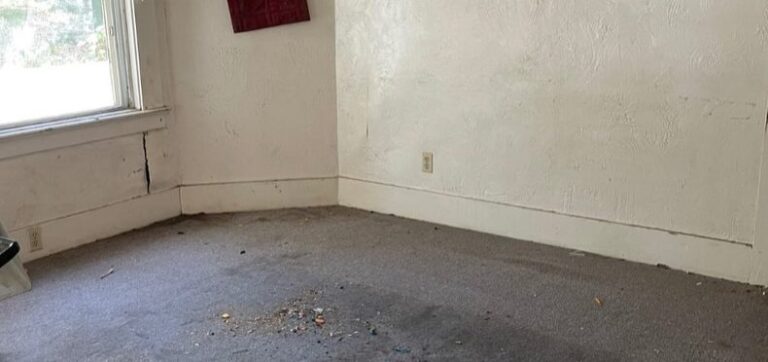 Empty room after a heavy house cleanout